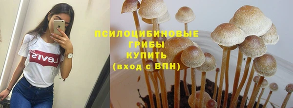 каннабис Богданович