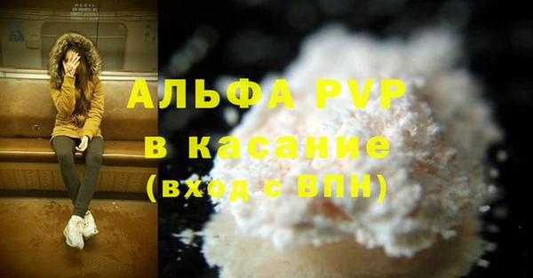 каннабис Богданович