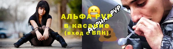 Альфа ПВП Богородск